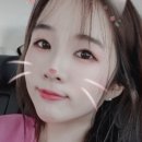 벨띠에 이미지