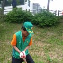 안락1동-7 이미지