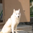 아리하우스 이미지