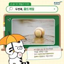 백호스포츠