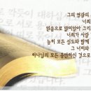 너비의깊이 네이버블로그
