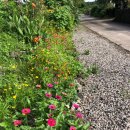 대흘초등학교 이미지