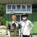 효죽천 이미지