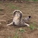 참 조은 훈이네 강아지 | 마음에는 평화, 얼굴에는 미소 (부제 : I ❤️ ME)