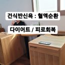 체온굿다이어트