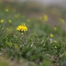 법문행정사사무소 이미지