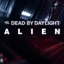 데이라이트 이미지