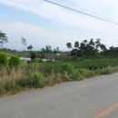 난산리-5 이미지