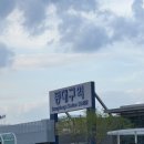 대구 빵집 | 대구 3대빵집 중 하나인 대구근대골목단팥빵 동대구역사점!!(콩떡콩떡 왕강추)