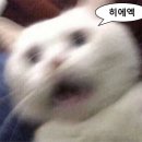 순라이프
