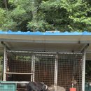 환희네 꿀벌농원 이미지