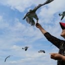 장골민박 이미지