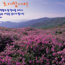 산청공설운동장 실내체육관 이미지