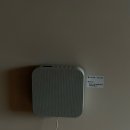 스테이 호자 이미지