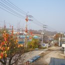 본2리 마을회관 이미지