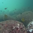 이루리환경 이미지