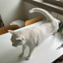 영석마트 | 4 / 12 • 백수핑의 주말