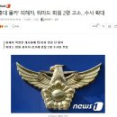 951008 이미지
