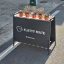 플래티 | 진주 평거동 카페 플래티메이트 : 호주식 디저트 파블로바와 플랫화이트 맛집 (주차 정보)