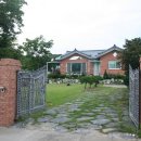 여주-0617 Daum카페