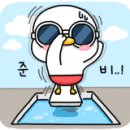 쥬쥬펫 이미지