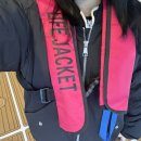 박선장네 | [포항 요트] 박선장 요트투어