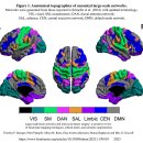 Re: 마음챙김 명상의 최신 뇌과학!! 2015 Nature 이미지