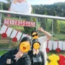 분천2리 | [경북 봉화군] 겨울 아니어도 괜찮아, 봉화 봄의 산타마을 솔직 후기