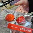 경주농장 제2농장 이미지