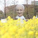 솔뫼 이미지