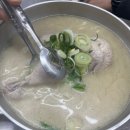 양지초등학교 | 거제 맛집 - 100% 자가제면 장평동 일품닭칼국수