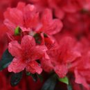 에덴농원 이미지