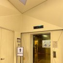 양손프로젝트 연극 [파랑새] | 양손프로젝트 &#39;파랑새&#39; 양조아, 양종욱 배우 관람 추천 후기(더줌아트센터 위치, 정보, 꿀팁)