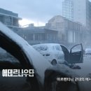 독성서사 이미지