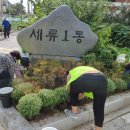 세류1 200 이미지