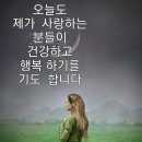 세월이 공해가 심하내요 이미지