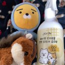 숲속고양이 | 화학물질이없는 공정브릿지 페어펫 반려동물 천연 탈취제 숲속향 고양이탈취제