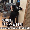핏메드