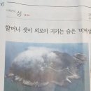 곽도