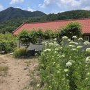 천반산민박