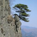 백쉰네번째 명산 산행 : 의성 비봉산[飛鳳山], 금성산[金城山] 이미지