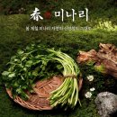 로운 뉴코아아울렛 | [내돈내산]📍 부산 괴정 맛집 “로운 샤브샤브 괴정점” 솔직 후기 🍲