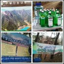 고로쇠산삼농원 이미지