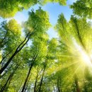 별하 가람합기월드 이미지