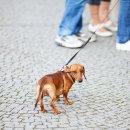 위즈동물병원 이미지