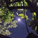 동산슈퍼 이미지