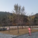 영심이네막창 | 대구 근교 캠핌장ː아이들 킥보드 타기 좋은 고령 대가야 캠핑장 1박 후기