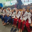 태권도장 채움 이미지