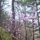 관동농장 이미지