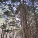12월 백운산 수련원 둘레길 다녀온 후기 광양 가볼 만한 곳